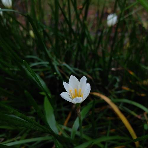Photo #9641859