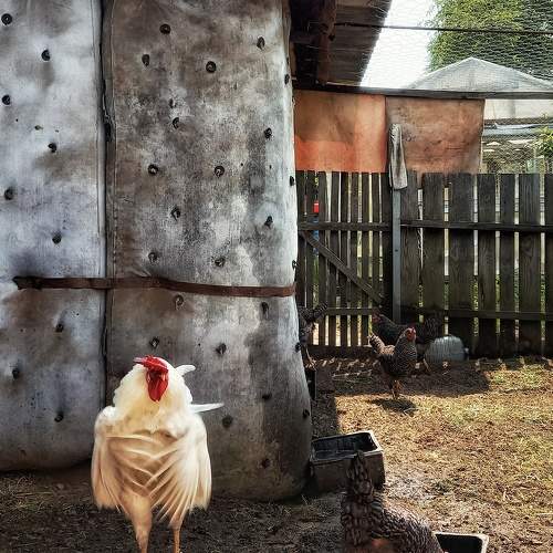 Photo #9642229