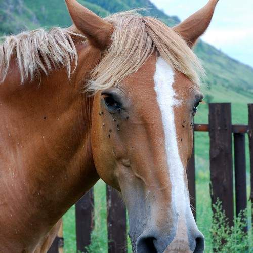 Photo #9642535