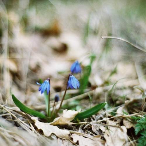Photo #9642553