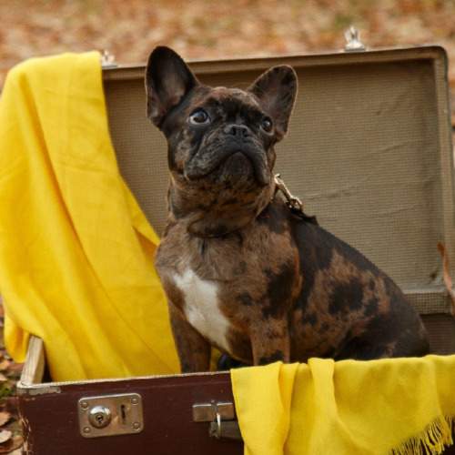 Photo #9642915