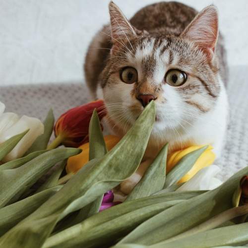 Photo #9642978