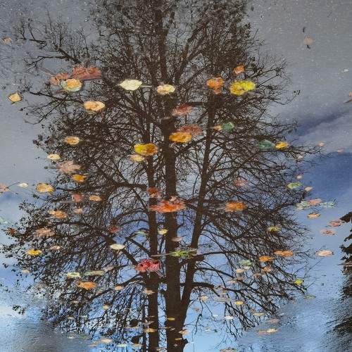 Photo #9643102