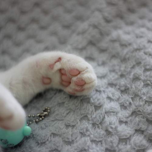 Photo #9643181