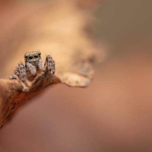 Photo #9643284