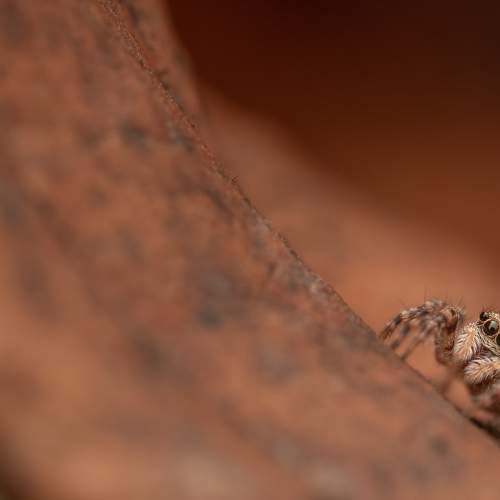 Photo #9643289