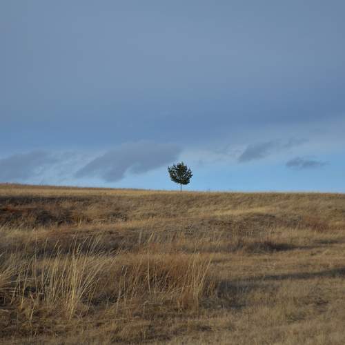 Photo #9643652
