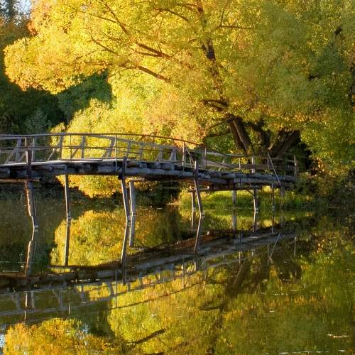 Photo #9643901