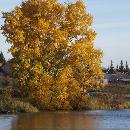 Photo #9643975