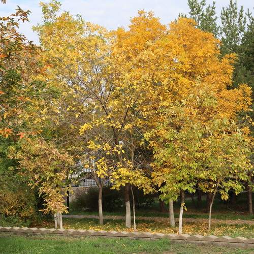 Photo #9643987