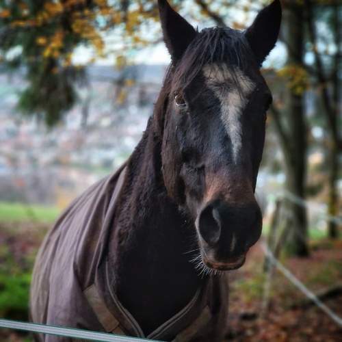 Photo #9644109