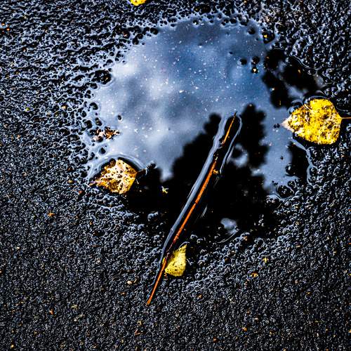 Photo #9644174