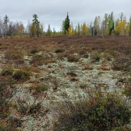 Photo #9644449