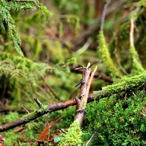 Photo #9644450