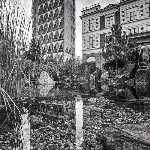 Photo #9644469