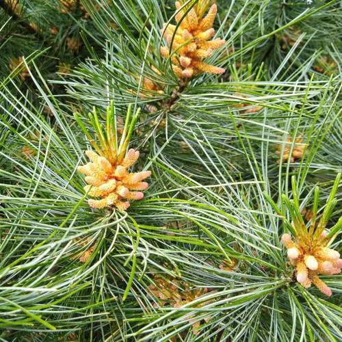 Photo #9644701
