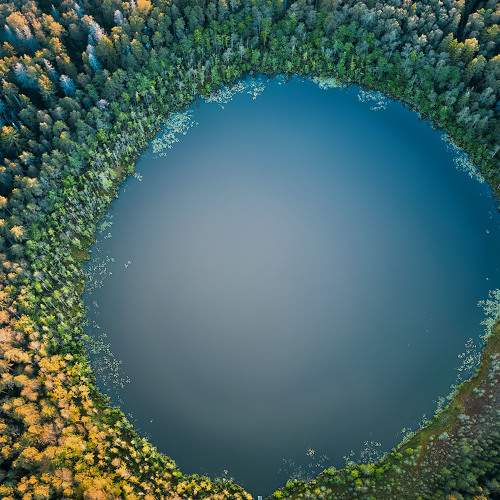 Photo #9644984