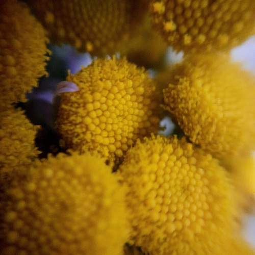 Photo #9645055