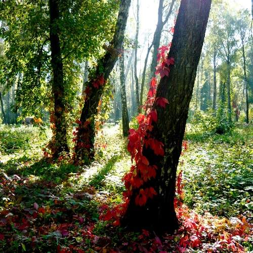 Photo #9645062