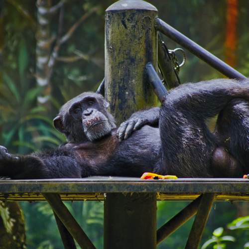 Photo #9645153