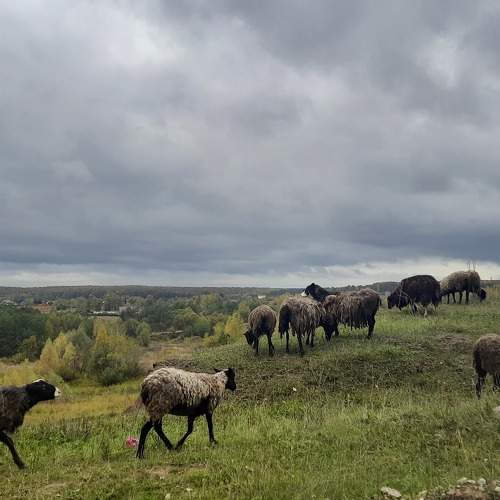 Photo #9645214
