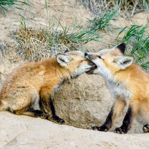 Photo #9645224