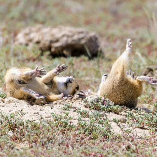 Photo #9645236