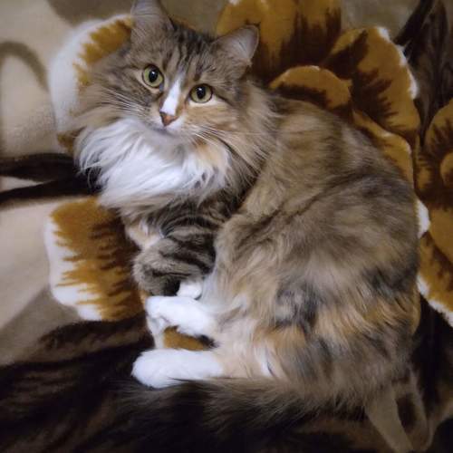 Photo #9645484