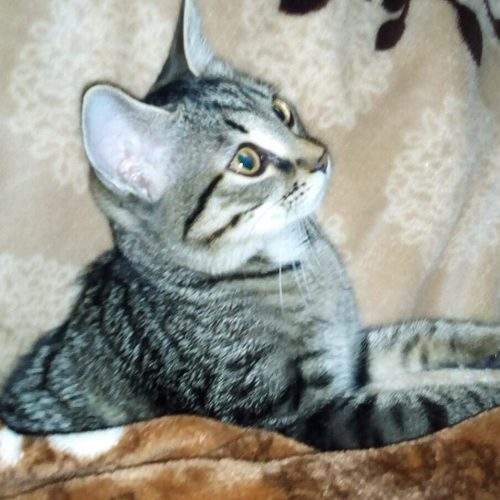 Photo #9645496