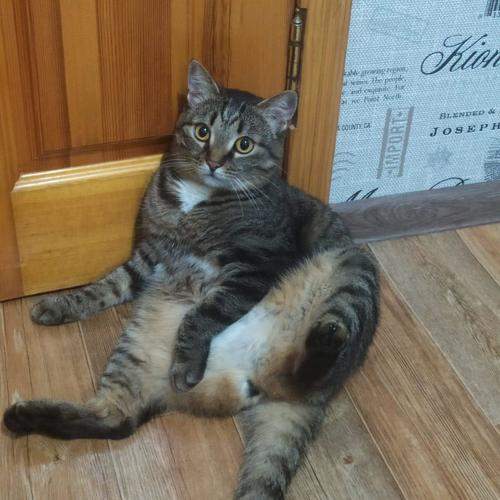 Photo #9645501