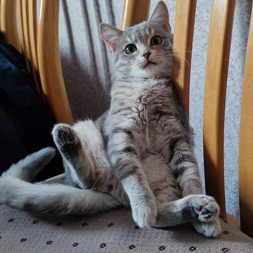 Photo #9645650