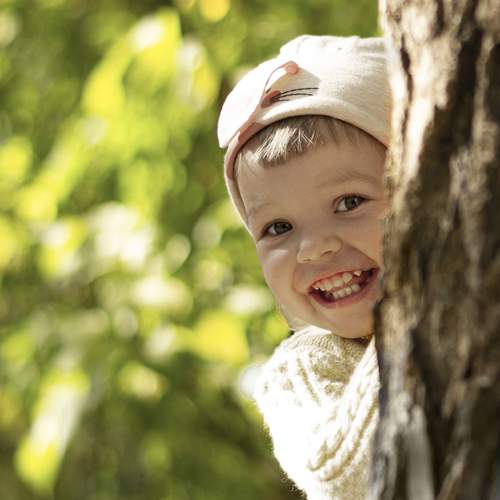 Photo #9645677