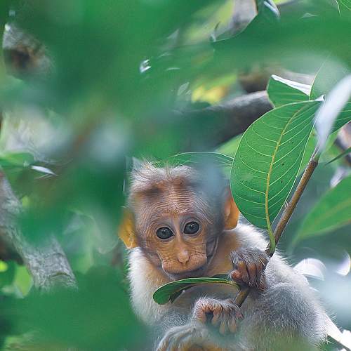 Photo #9646121