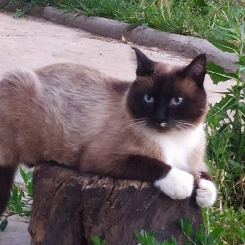 Photo #9646147