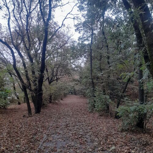 Photo #9646234
