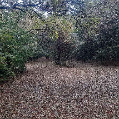 Photo #9646235