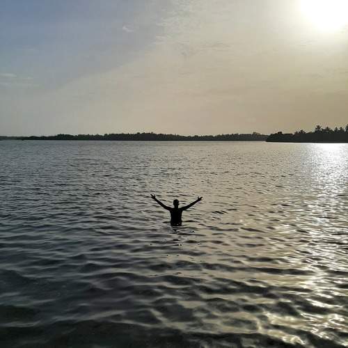Photo #9646266