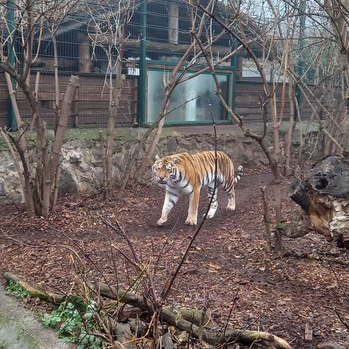 Photo #9646275