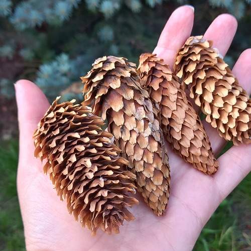 Photo #9646376