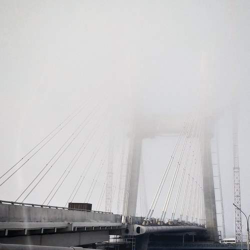 Photo #9646474