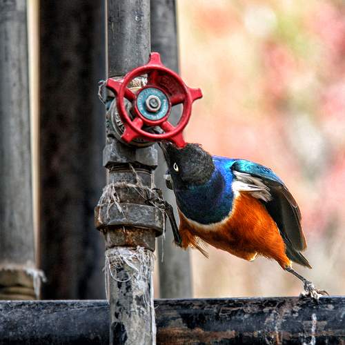 Photo #9646484