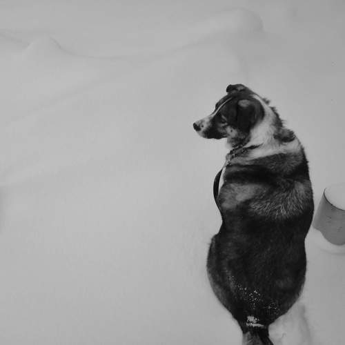 Photo #9646775