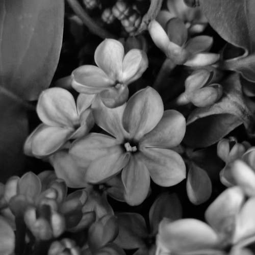 Photo #9646776