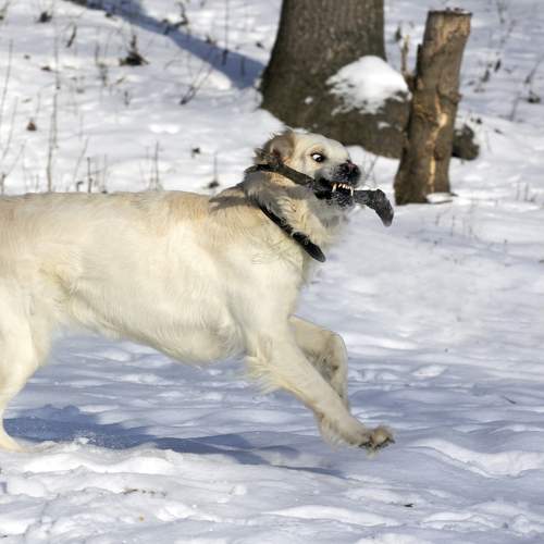 Photo #9647017