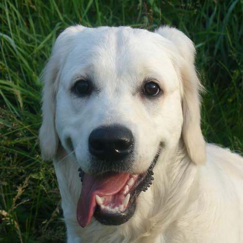 Photo #9647031