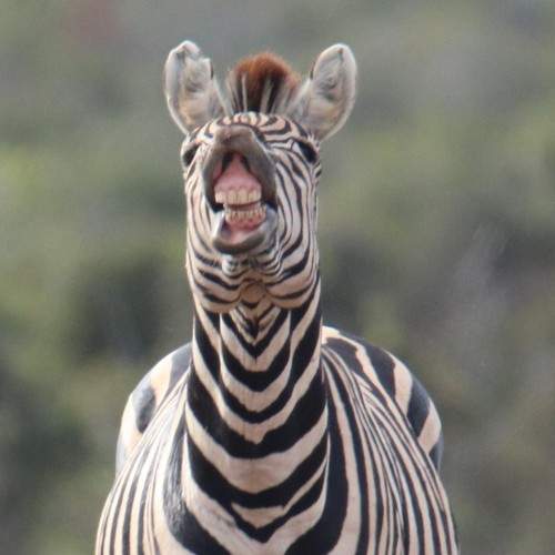 Photo #9647053