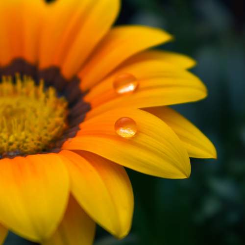 Photo #9647061