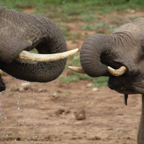 Photo #9647106