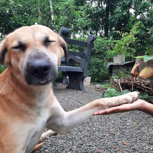 Photo #9647320