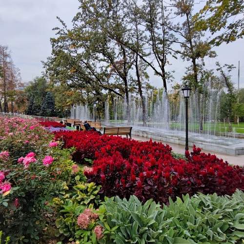 Photo #9647344